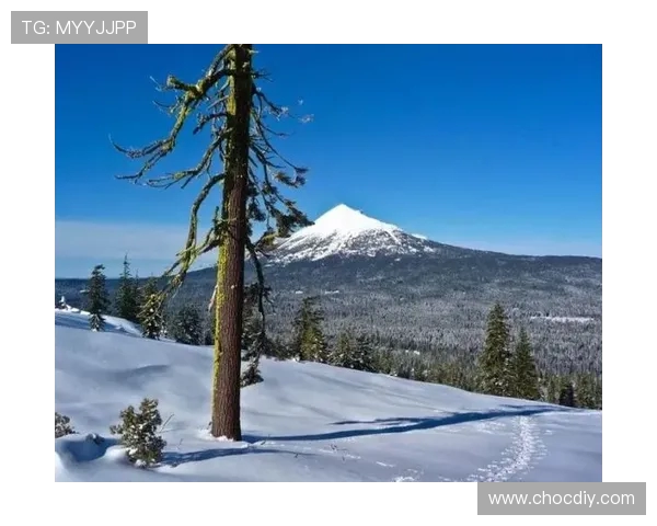 杨秀英亲授攀岩技巧与心得分享助你征服高峰