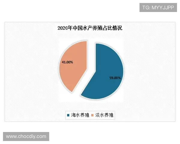青岛国信水产打造现代化海洋产业集群引领高质量发展新格局