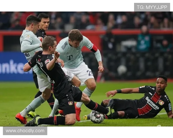 伊朗与伊拉克精彩对决完整直播回放及赛后分析全程观看指南