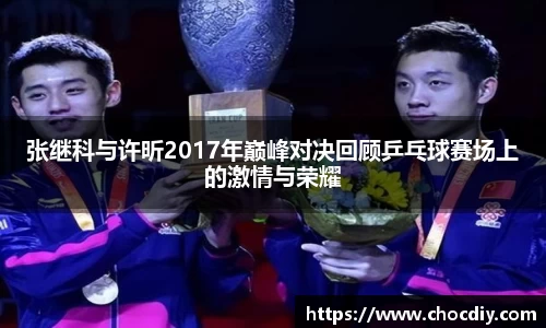 张继科与许昕2017年巅峰对决回顾乒乓球赛场上的激情与荣耀