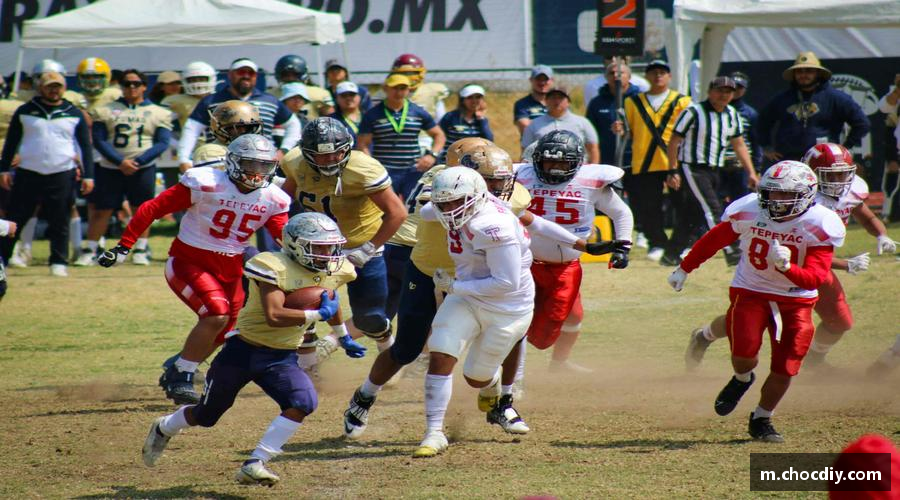 青春梦想，汇聚体育